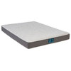 Luxury Ultra Firm Twin Size Mattress,  Wrapped Coil with fortified edge support,