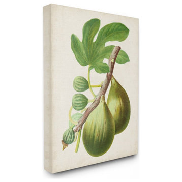 Vintage Fruit Fig Painting, 30"x40"