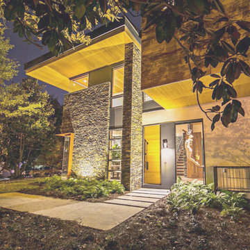Modern Home Black Walnut Atlanta