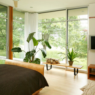 Floor To Ceiling Windows Houzz