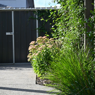 Pollinator Haven