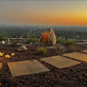 Xeriscape & Native Garden with Waterfall