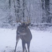 Kevin Wheeler's photo