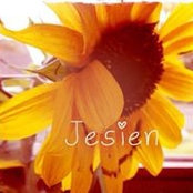 Justyna Wierzbicka's photo
