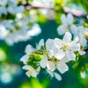 Jennifer Timm's photo