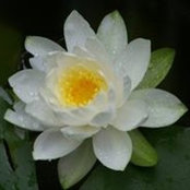 Melissa Bailey's photo