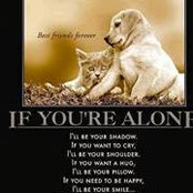 Rhonda Travis's photo