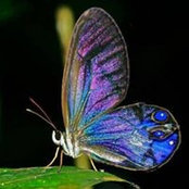 Darlene Cochran's photo