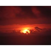 Tom Braun's photo