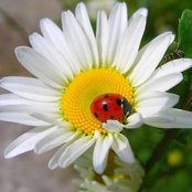 Полина Ластовичек's photo