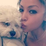 Lucy Chis billede