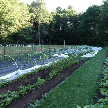 Farmhouse Kitchen Garden