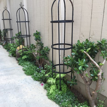 Garden path makeover