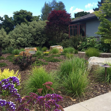 Front Lawn Removal - Craftsman Home in Los Altos