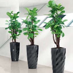 Modern Planter - Products