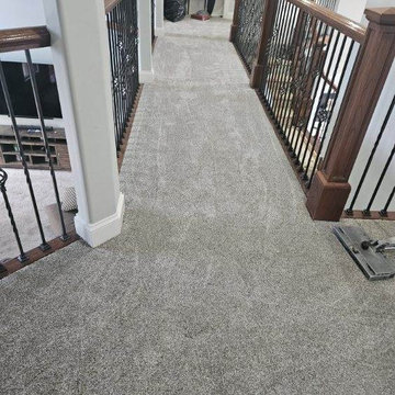 Plush Carpet Installation for a Cozy Home
