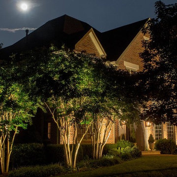 Outdoor Lighting Crape Myrtle Trees