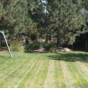WOW!!! A new backyard!!!