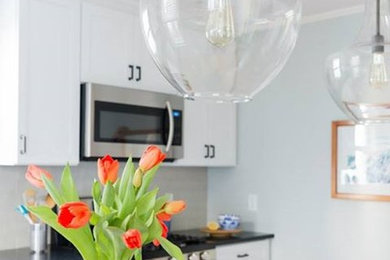 Kitchen - transitional kitchen idea in Boston
