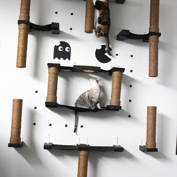 Pacman Cat Complex