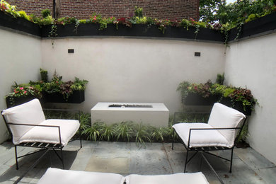 フィラデルフィアにある小さなトランジショナルスタイルのおしゃれな中庭のテラス (壁面緑化、天然石敷き) の写真