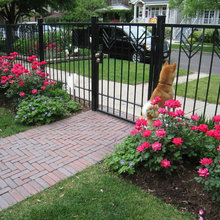Landscapping