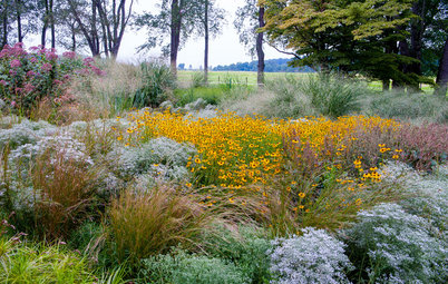 The Surprising Ingredients Every Good Garden Should Have