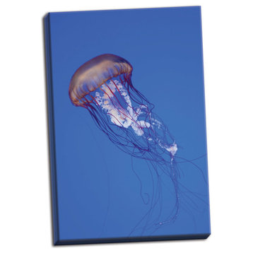 Fine Art Photograph, Jellyfish IV, Hand-Stretched Canvas