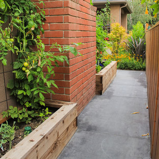 Kleiner, Halbschattiger Stilmix Gemüsegarten im Sommer, hinter dem Haus in Orange County