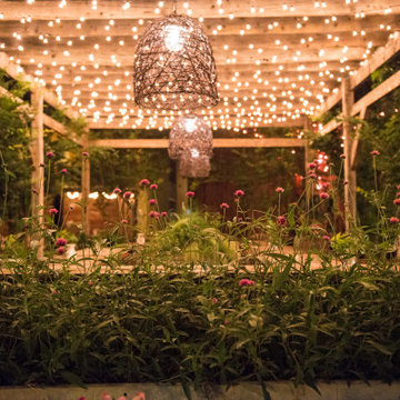 2016 South Street Pop Up Garden - Pennsylvania Horticultural Society