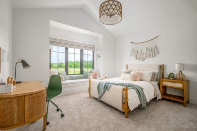 Kids' room - transitional girl carpeted and beige floor kids' room idea in Other