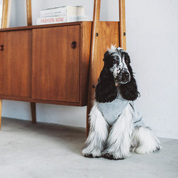 シック＆シンプルな犬用品 - 商品