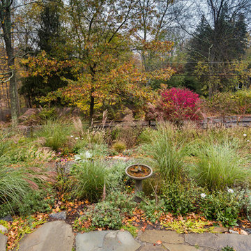 Rethinking the Front Lawn - Try a Native Perennial Garden Instead!