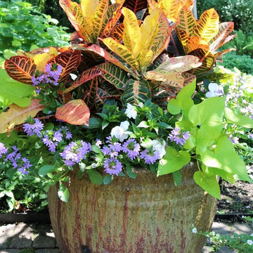 Seasonal Display
