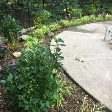 Shady Perennial Garden