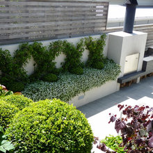 Garden /outdoors