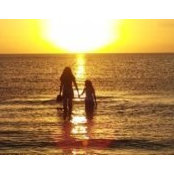 Jenny Sharpless's photo