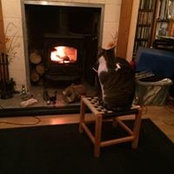 Foto von Ann Barlow