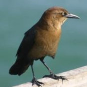 Evelyne Donovan's photo