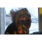 Céline Beaudoin's photo