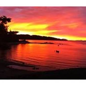 Shannon Hall-Sartori's photo