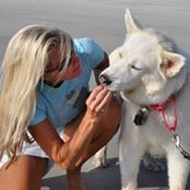 Karen Camerlengo's photo
