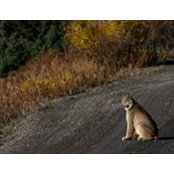 Janet Andersen's photo