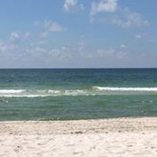 Jacquelyn Salvato's photo