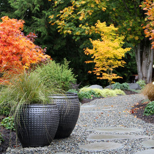 This is an example of a contemporary backyard garden for fall in Seattle with a container garden and gravel.
