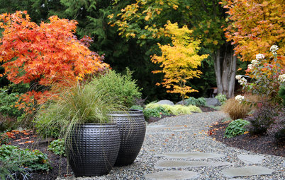 Great Garden Combo: Fall Foliage With a Contemporary Twist
