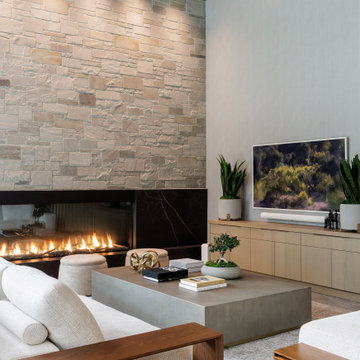 Luxurious Modern