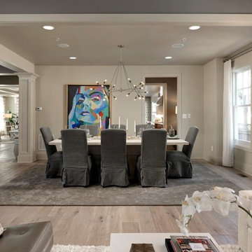 flowing space from living room into dining