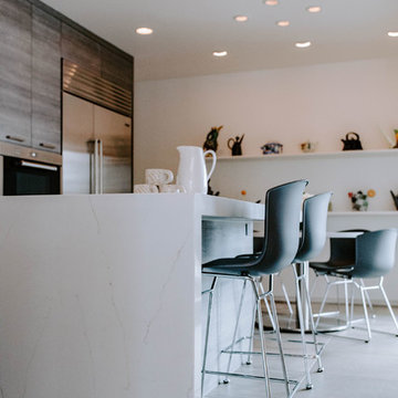 West Bloomfield, MI Contemporary Kitchen Remodel