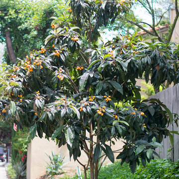 My Houzz: Eclectic English Cottage in the Hollywood Hills